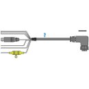 Raymarine M300 Serie Strom- / NMEA / Videokabel 10m A80666