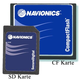 Navionics+ Seekartenmodul L , SD/MSD Modul - Leer zum selbst bespielen